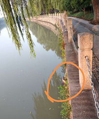 һ�����ֳ����ˣ�����һ��̫�����ָ��ڻ�����·���������