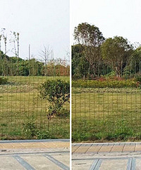 ����һ���� ÿ�촩�̿㱩�ߣ�ͷ����Ů�Ļ���������