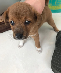 ��û����Ҫ��С��