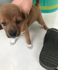 ��û����Ҫ��С��