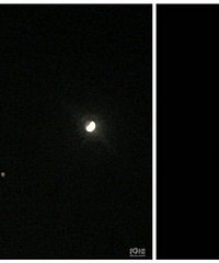 �ֻ�������ȫʳȫ���� �о�������