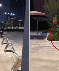 ���ź��£�����ĳС���������ǹ���ǣ��