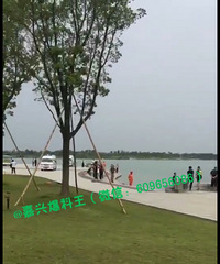 ͻ���������������� �������˵ı���ȫʧ���ˣ�