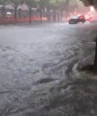 ����ĳ��˾�������� �ֵ�ȫ������