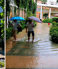 ����ĳ��˾�������� �ֵ�ȫ������