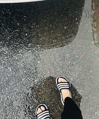 ̨������ǵ��� ������Ь����