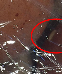 ���ģ����еļ��������ˣ�