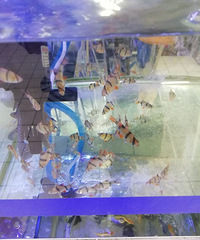 ŷ�������ת¥�� ����ȥ�й�ɽ���ĸо�������