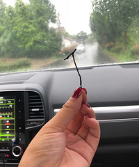 92��GG ����169 ��Ͻ��� ���Ը���δ������һ�����