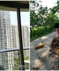 �����Ϻ�˫������ ����𳵼�����