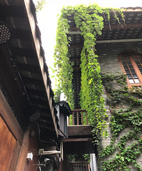 ���еĿ�խ��