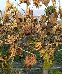 ̨����� ��Ķ������ȫ���ݻ���