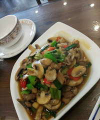������� ��ҵ�˺ó� ����̬�Ȼ��� ���˷��治��Ǯ