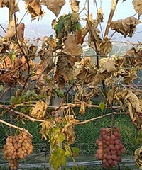 ̨����� ��Ķ������ȫ���ݻ���