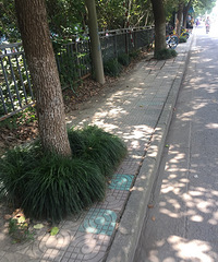 �л�·�ϵ����к������ռ��һ��� �˶��߲���