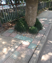 �л�·�ϵ����к������ռ��һ��� �˶��߲���