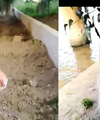 �����ѳ��� ����һ��Ӵ������ºӣ�