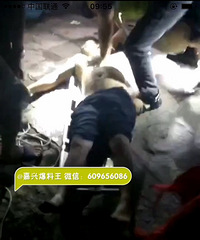 �����ֳ����ˣ�������ҹȥ������Ӿ �賿�ű�������