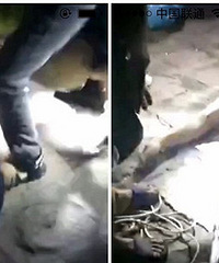 ����������ҹ��Ӿ �賿�ű�������