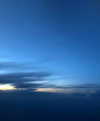 ��������������Ԥ�ϣ��������������ϡ�����