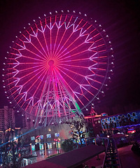 ��˵19¥С������������֯���