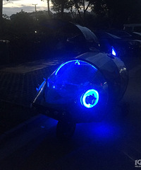 嘉兴网红“豪车”又来了 野生小飞鱼再现江湖!