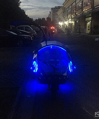 嘉兴网红“豪车”又来了 野生小飞鱼再现江湖!