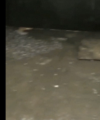 סլ¥һ����ͷ�ˮ�� ������ʧ����