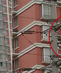 ����ĳС������ȫ������ ſ�ڴ���