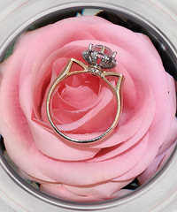 ��С�ܼ�̽��NO.4��E�������|����Ʒ�ƿ��� �Լ۱ȸܸܵΣ�