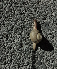 �ס� ����ôһ������ɢ��ѽ