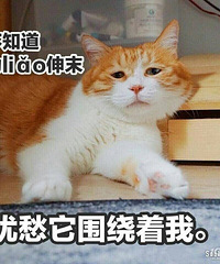 ��Ϧ���ù �����ϻؼұ�һ���ϴ�ү���ֳ����ȶ�������