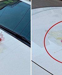 �}�ˣ��������˾�Ȼ��õ�廨������