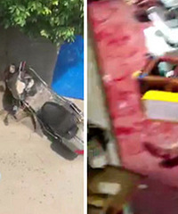 �����Ұ������ӷ迳���˺󵹵�����