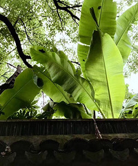 ������ƽ�����������ġ�