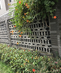 Ԫ������