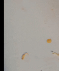 �賿�ӵ�һ����Ů ���ҳ�����̣������������