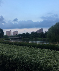 ������жɽٵ�������