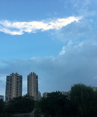 ������жɽٵ�������