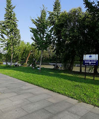 Ϊժ�׹� ����������������֦������� �ǹ�˵����