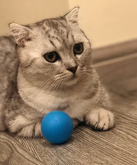 ����19¥������һ��è�����̾�ȥ�� ����ܸɾ� èè�ܹ԰�