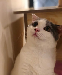 ����19¥������һ��è�����̾�ȥ�� ����ܸɾ� èè�ܹ԰�