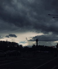 Ϧ������