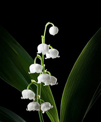 һ������õ�״̬��ʲô����