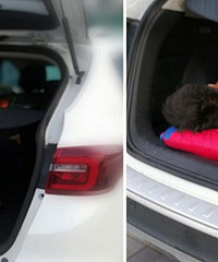 ����һ�类�����ں��� ԭ��̫����