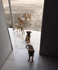 С�����������