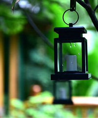 �������ѽ���������������ѿ����������ţ�