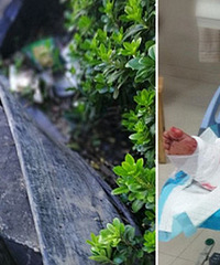 ��������һ���ų����ˣ��������ϵ��� ��...