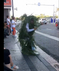 Ϸ̫˳ԳԼ ڻֵͥCos