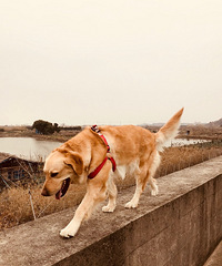 Ѱ���ë������������������